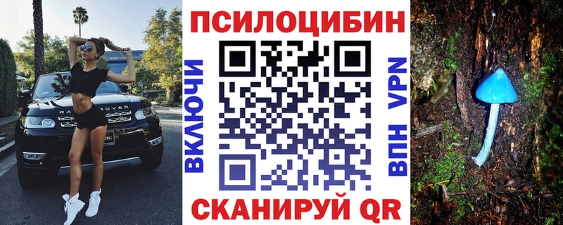Псилоцибиновые грибы Cubensis  Дубна 
