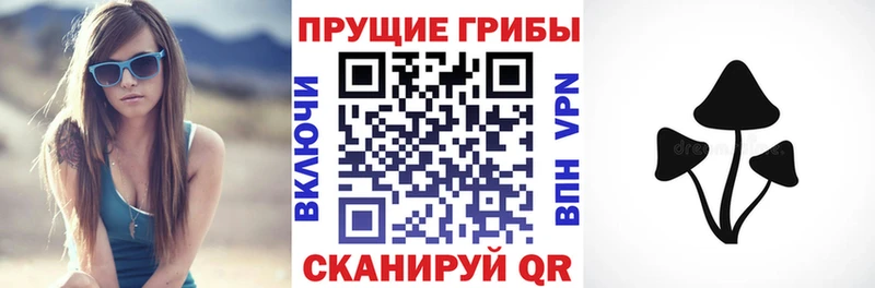 Галлюциногенные грибы мицелий Дубна